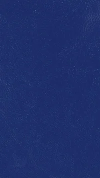 nessi-cobalt-011 lico