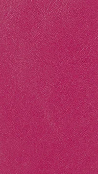 nessi-fuksja2-9064 lico