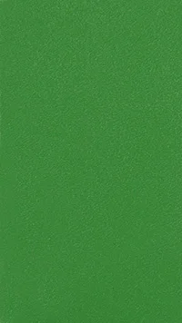 nessi-zielony-9053 lico