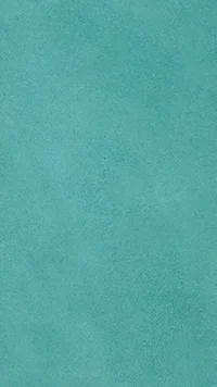 oceanic zamsz