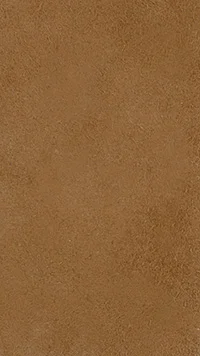 camel-185-zamsz